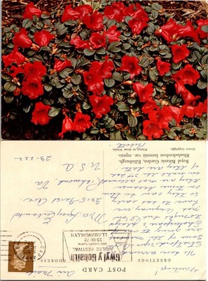 Royal Botanic Garden Edinburgh Postcard Red Rhododendron Flowers Vintage Used