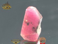 Raw Ruby Gemstone - 5.8g NATURAL and Authentic
