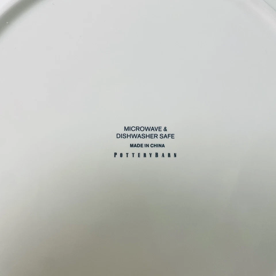 Juego de 4 platos de cena Pottery Barn Gingham Plaid 11” azul marinero primavera Pascua Foto 3 de 4