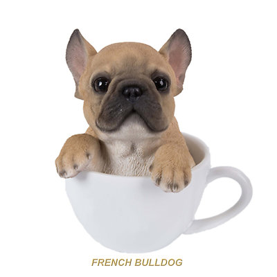 teacup boxer dog