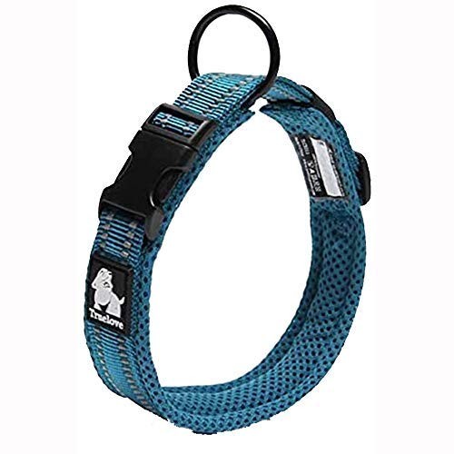Collier chien True Love nylon rembourré pour promenades et éducation de jour