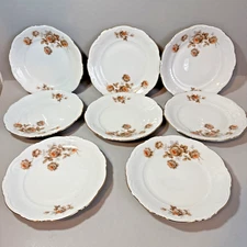 Vintage Mitterteich Bavaria Germany Porcelain Norway Rose Salad Plates Set of 8