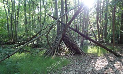 Photo 12x8 Makeshift Shelter, Thrift Wood, Woodham Mortimer Runsell Green  c2011