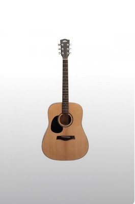  Guitare Folk Stagg GFS-51   Neuve dans son emballage !
