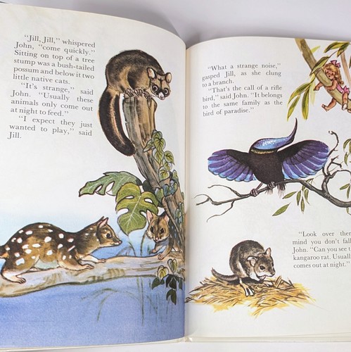 Animal Wonderland By Mary Brooks Vintage Childrens Nature Picture Book Australia - Picture 5 of 7