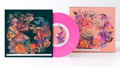 7-Inches For Planned Parenthood Vinyl LP Foo Fighters Sleater-Kinney Bjork