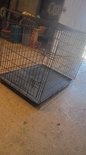 dog kennel