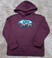 Old Navy Boy's Size Large 10-12 Pullover Sweatshirt Hoodie Nature