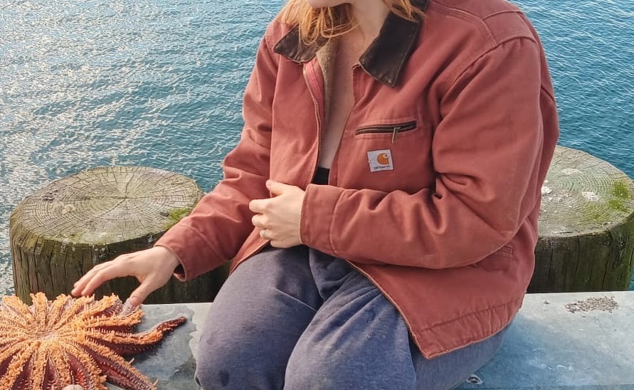 Vintage Rose Carhartt デトロイトジャケット VRS Carhartt デトロイトジャケット VRS XL ヴィンテージローズ