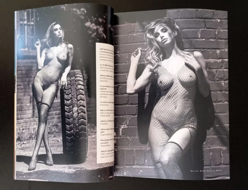 Playboy CZ 9 2024 Натали Паулина Поризкова Brooke щиты Карл Лагерфельд новый - Изображение 2 из 4