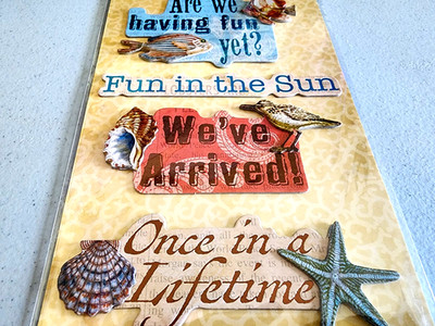 K&Company Tim Coffey Travel Word 3D Chipboard Scrapbooking Stickers 4.5x12 NOS