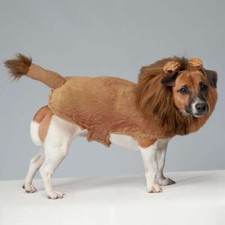 Zack  Zoey Fuzzy Lion Dog Costume - Halloween Costume - Small, Medium, Large