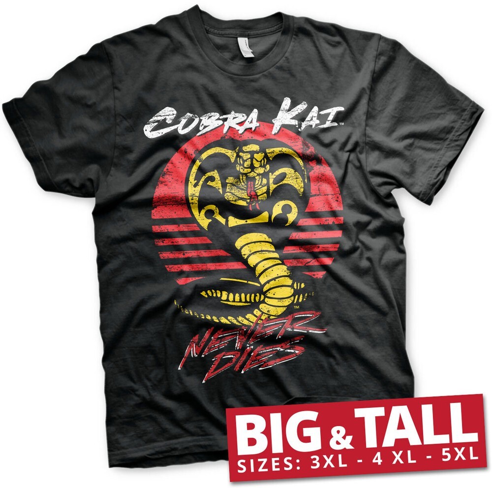 Футболка Cobra Kai Never Dies Big - Tall черного цвета 6390₽