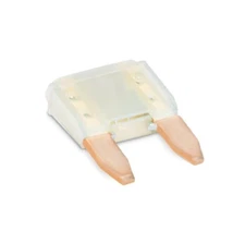 Dometic 90145 Slow Blow Mini Fuse, 2 Amp, Set Of 2