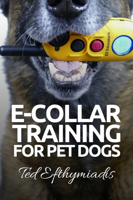 e collar obedience training