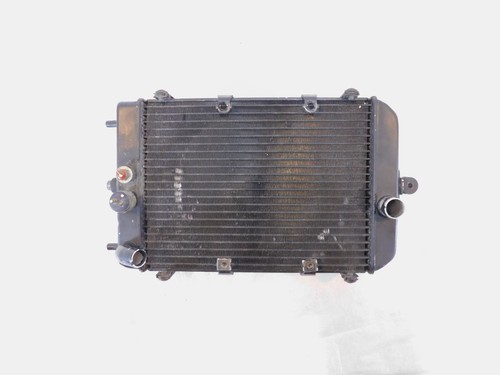 Kawasaki VN1500 Vulcan 1500 Drifter Classic Nomad Engine Water Cooling Radiator - Picture 10 of 15