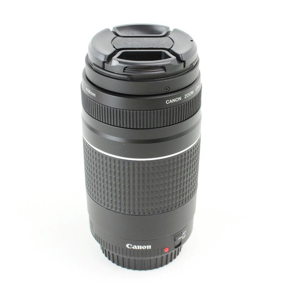 Canon EOS Rebel T6 DSLR Camera Kit with EFS 1855mm and 75300mm