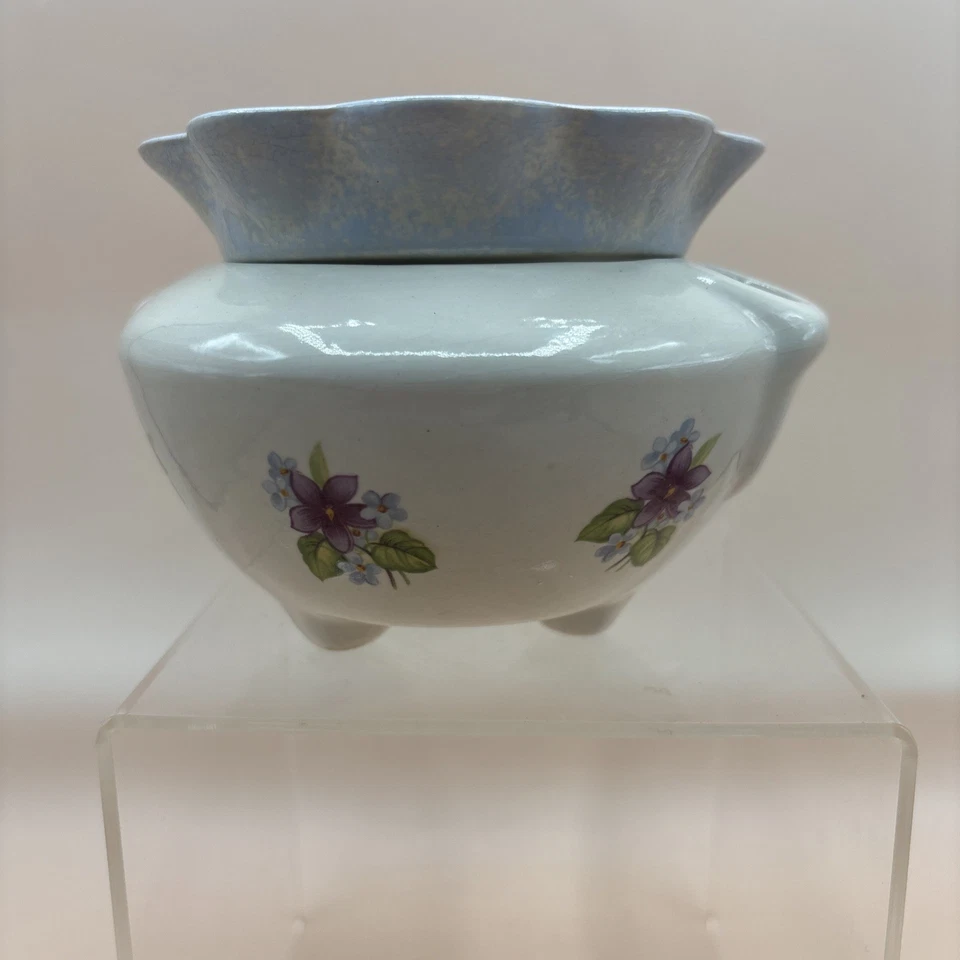 Maceta violeta africana vintage de 4 pulgadas crema con rosas Foto 4 de 4