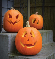 10 Jack O Lantern Pumpkin Seeds