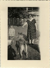 PHOTO ANCIENNE - VINTAGE SNAPSHOT - ANIMAL CHIEN BERGER ALLEMAND OMBRE - DOG 7