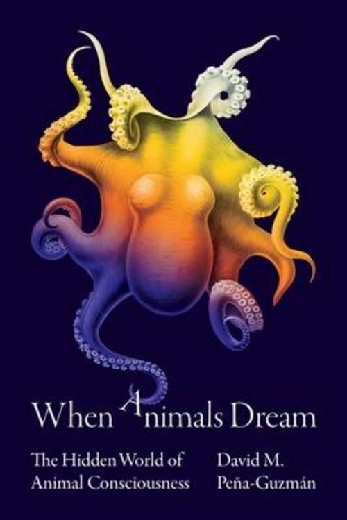 Thumbnail - When Animals Dream The Hidden World Of Animal Consciousness David M.