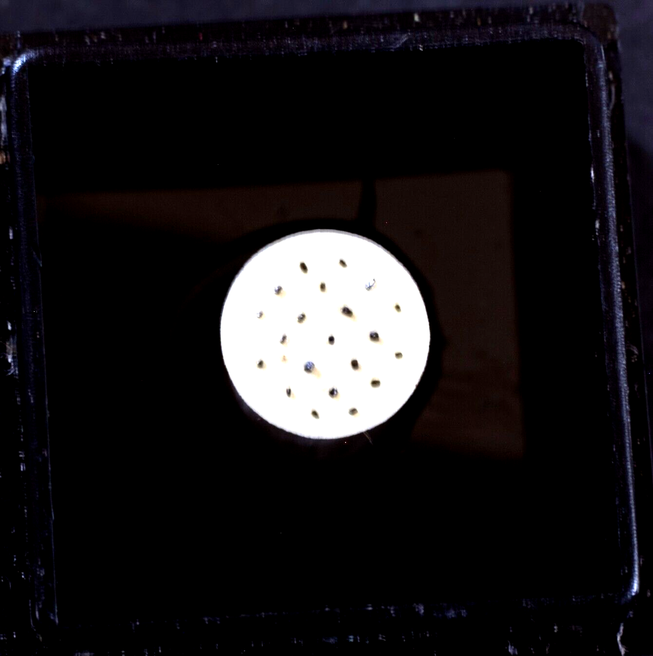 Tourmaline (var.)DraviteGap Nickel Mine,Lancaster Co. PA,MicMt., exJ