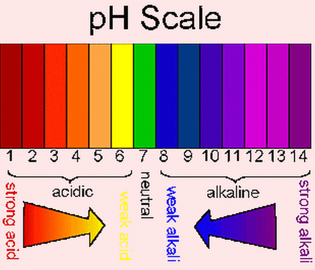 ph Litmus TEST STRIPS Full Range 1-14 acid alkaline indicator paper ...