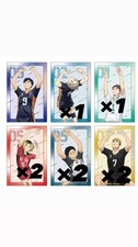  Final price reduction Haikyuu Animate Bonus