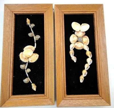LOT vintage SEA SHELLS ART PICTURE 2pc WOOD FRAME velvet background shellacked?