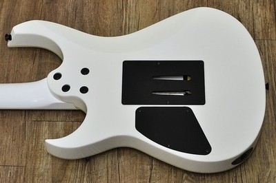 FERNANDES FGZ-STANDARD | eBay