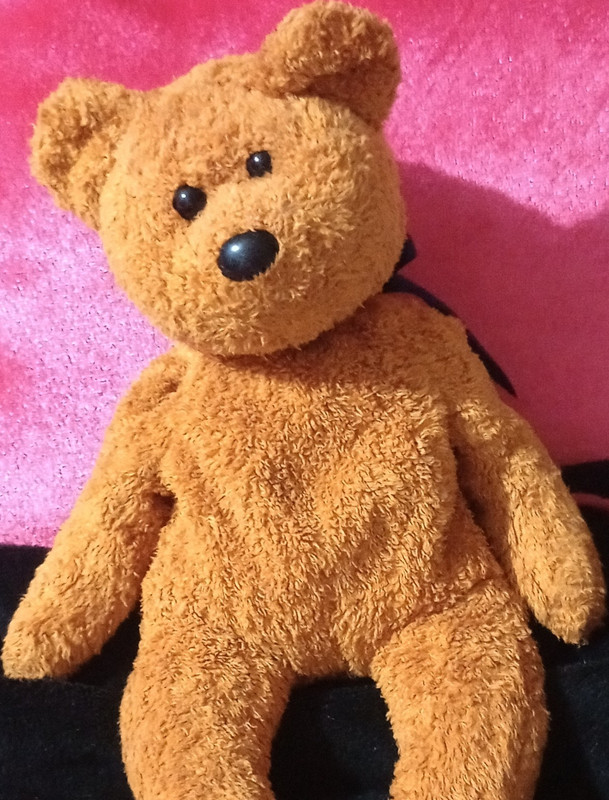 Ty Beanie Babies Fuzz  Teddy Bear Stuffed Animal Bear with Blue Ribbon Collar