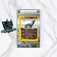 Pokemon Houndoom 12/144 Skyridge Extended Artwork Case on eBay