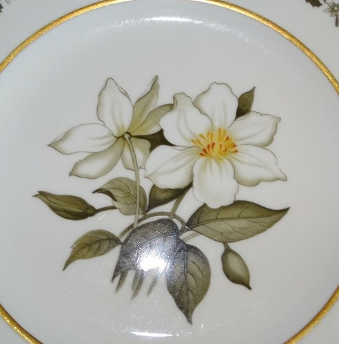 Royal Worcester Inglaterra Bernina Juego de 6 platos de ensalada porcelana de hueso - Imagen 4 de 6