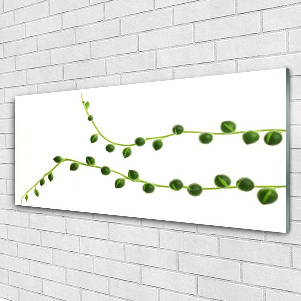Tableau plexiglas floral 125x50 cm decoration murale plante ornementale pour salon