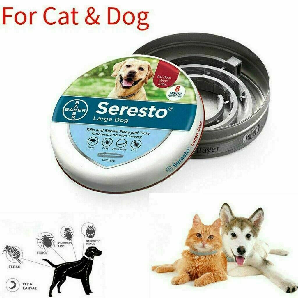 royal canin light medium