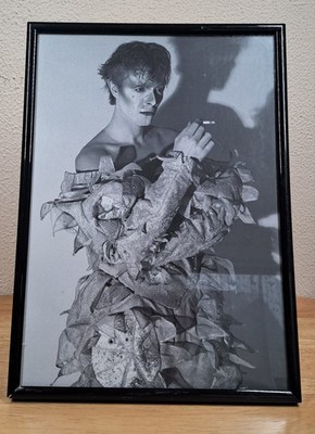 Framed David Bowie 8 X 12  Black And White Carded Print MOJO BOWIE Changes  #2