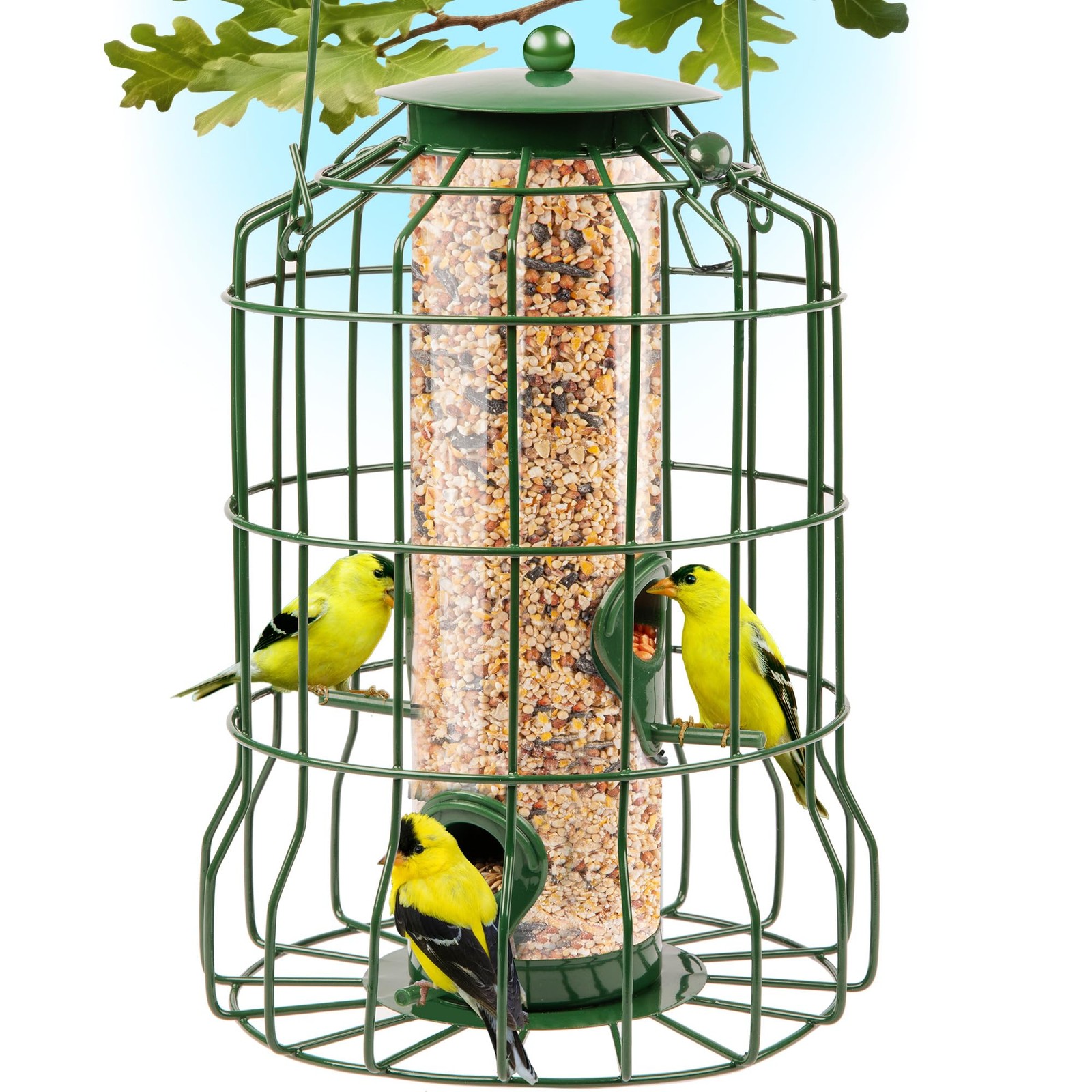 S For Outdoors Hanging Bird Feeder With 4 Ports New