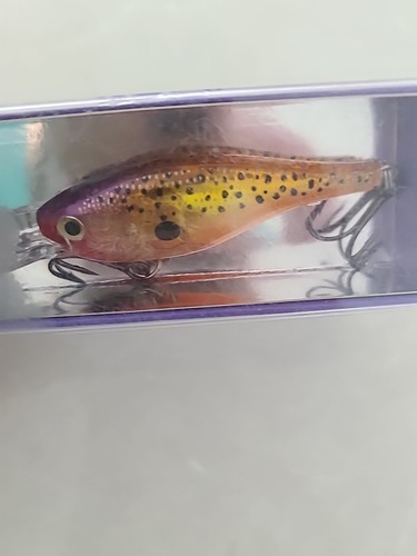 rapala vetro ombra rapgsr05 gpsf - Foto 3 di 4