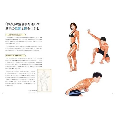 骨格筋の形と触察法 = Anatomy and Surface Anatomy… 骨格筋の形と触察