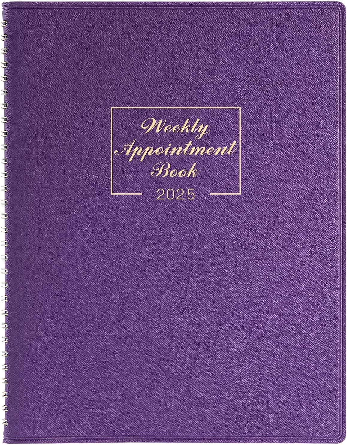 2025 Weekly Appointment Book - Daily Planner 2025 from JANUARY 2025 - DECEMBER 2