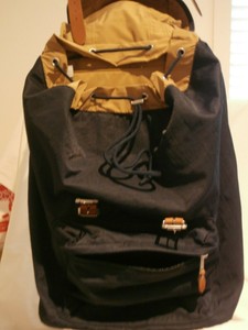 evolve skateboard bag