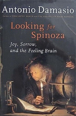 Looking for Spinoza: Joy, Sorrow, and the Feeling Brain Buch Harcourt