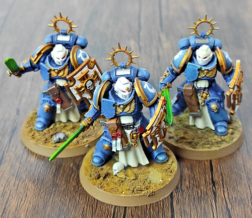 Commission miniatures PRO Painted - Sternguard Veteran Squad