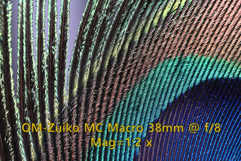 Olympus OM-System Zuiko MC Macro 38mm f/3.5 MF Lens - RMS Mount [Ex++] - Image 2 of 4