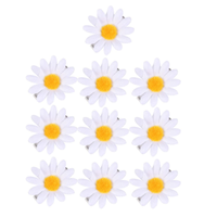 10 StüCk Haarschmuck GäNseblüMchen Damen Haarspangen Blumen Haarnadeln Kleine So