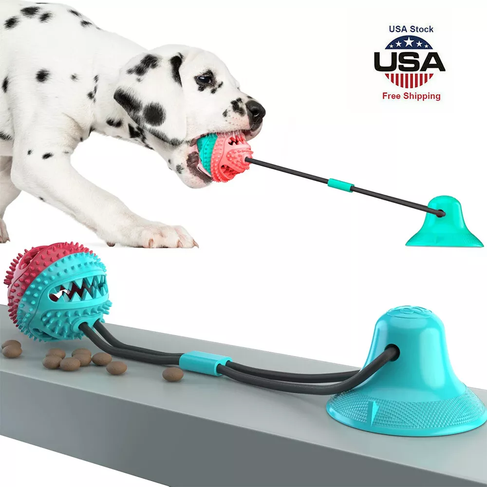 Indestructible Dog Toys: Our 7 Favorite Tough Dog Toys - Puppy Leaks