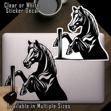 Horse Vinyl Decal Sticker Indoor Outdoor 4 Sizes