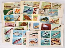 Enciclopedia di Topolino I Pesci Lotto 68 Figurine Hemmerlin Mondadori 1963