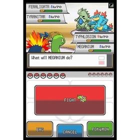 HeartGold & SoulSilver DS NDS Game US Version 2-in-1 Bundle