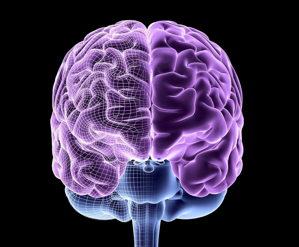 Apoyo a la salud del corazón - EXTRACTO DE CORTEZA DE PINO - vitamina C antioxidante 2B Foto 4 de 4